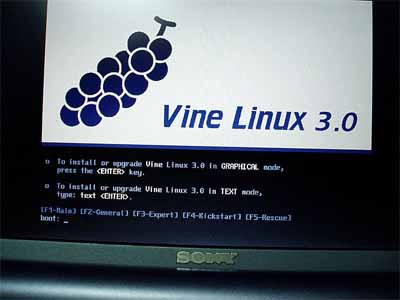 vine001.jpg